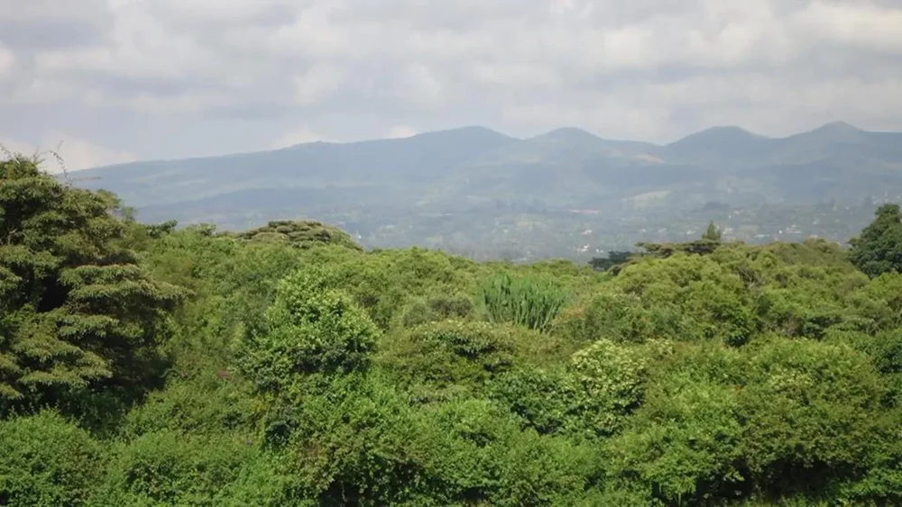 A misty mountain valley