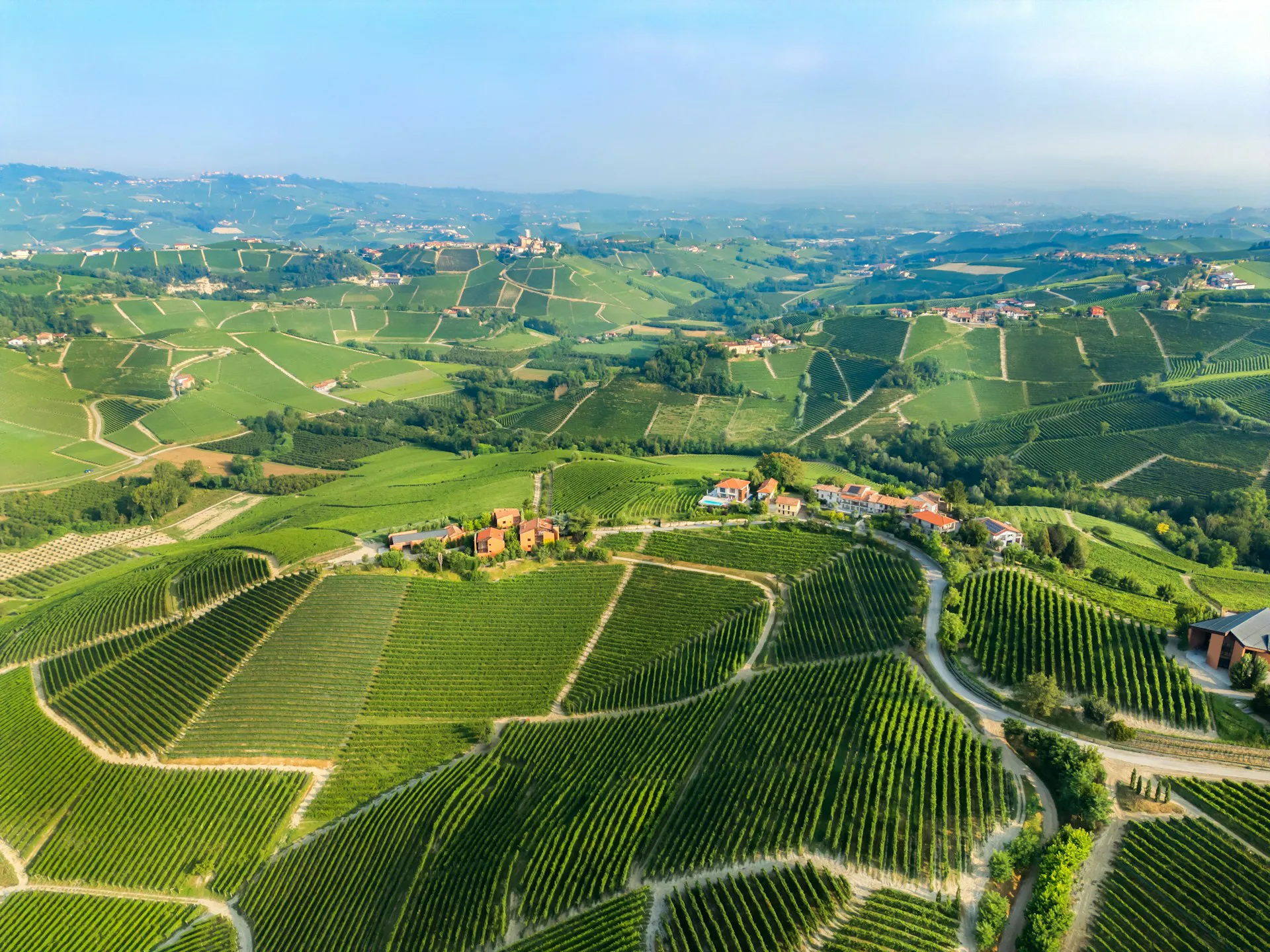 Wachau Valley vineyards aerial