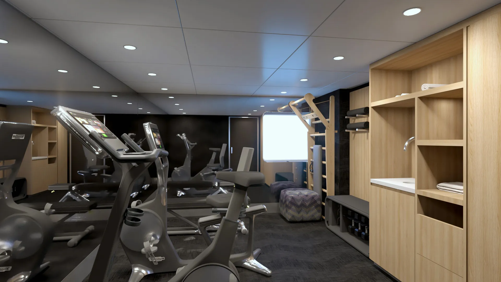 The Emerald Astra European river cruise ship gym