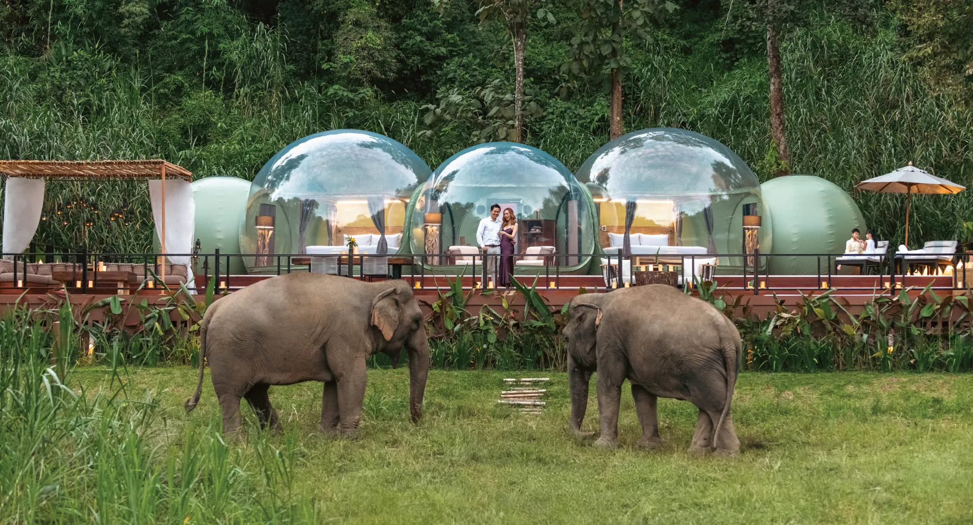Anantara's Golden Triangle jungle bubbles with elephants
