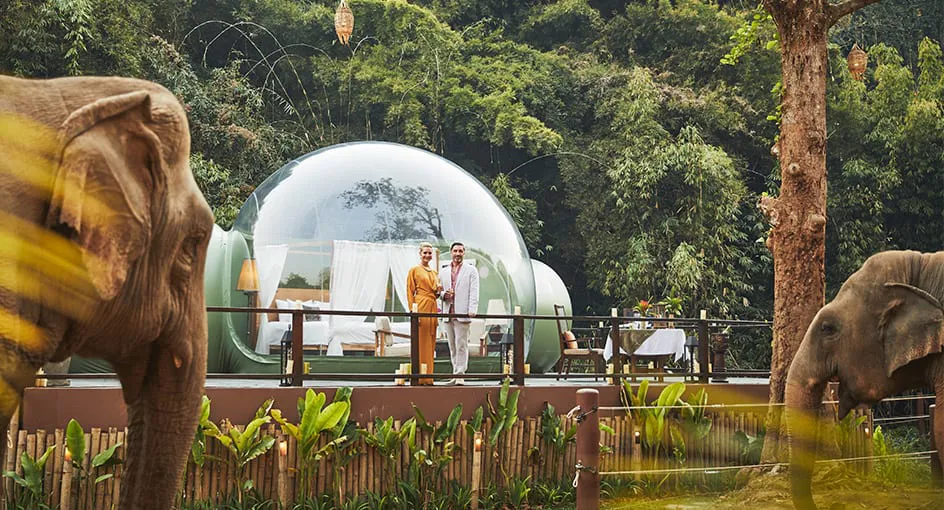 Anantara Golden Triangle: Jungle Bubbles