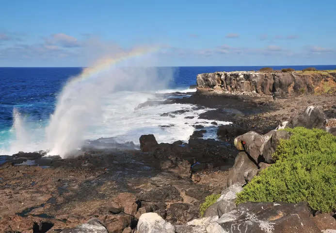 A blowhole shoots water above a cliff