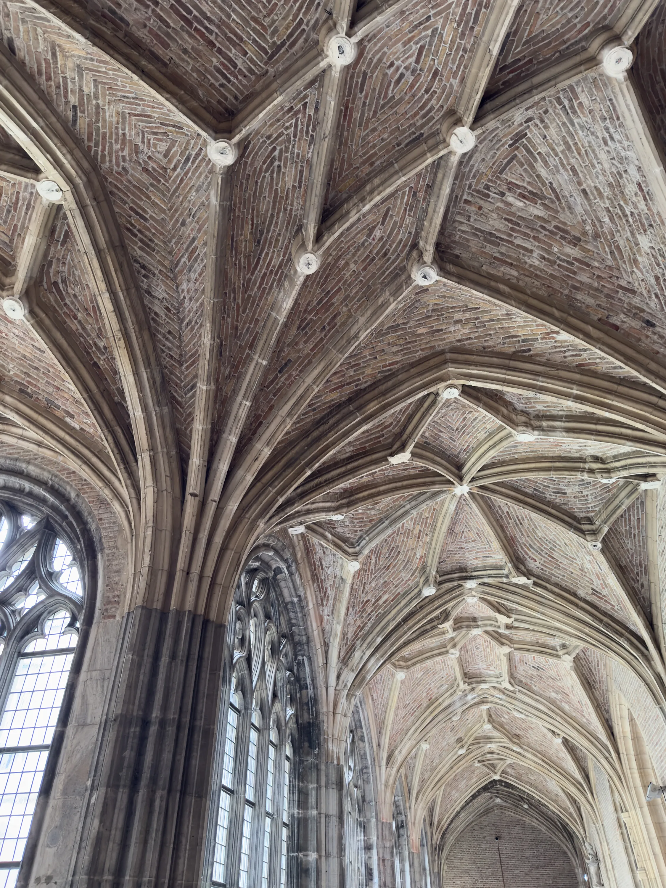 Ceiling at Middleburg Abbey