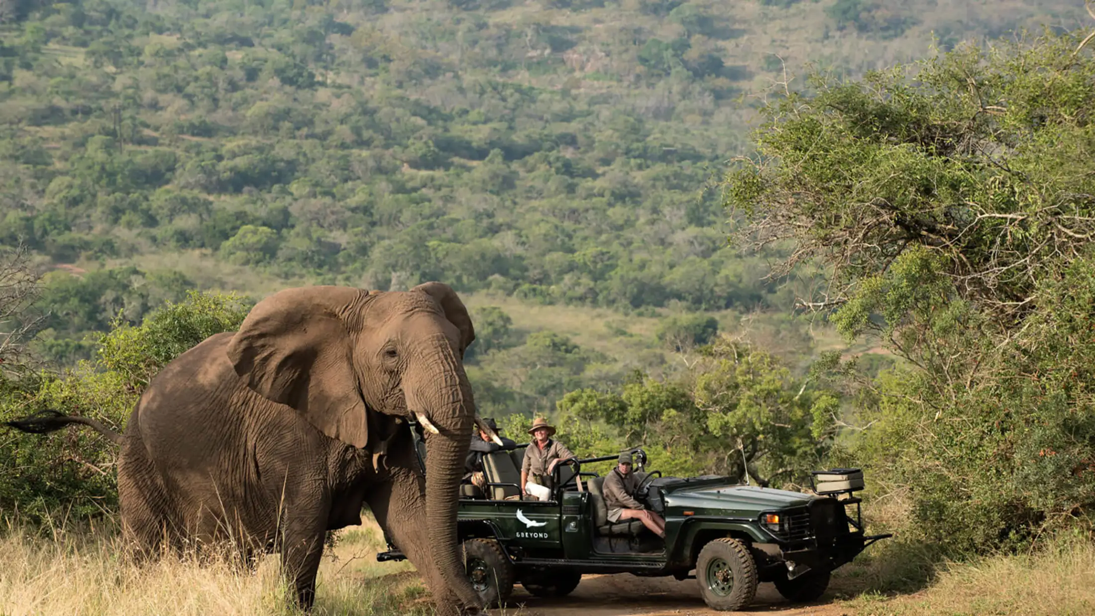An &Beyond safari jeep next to an elephant