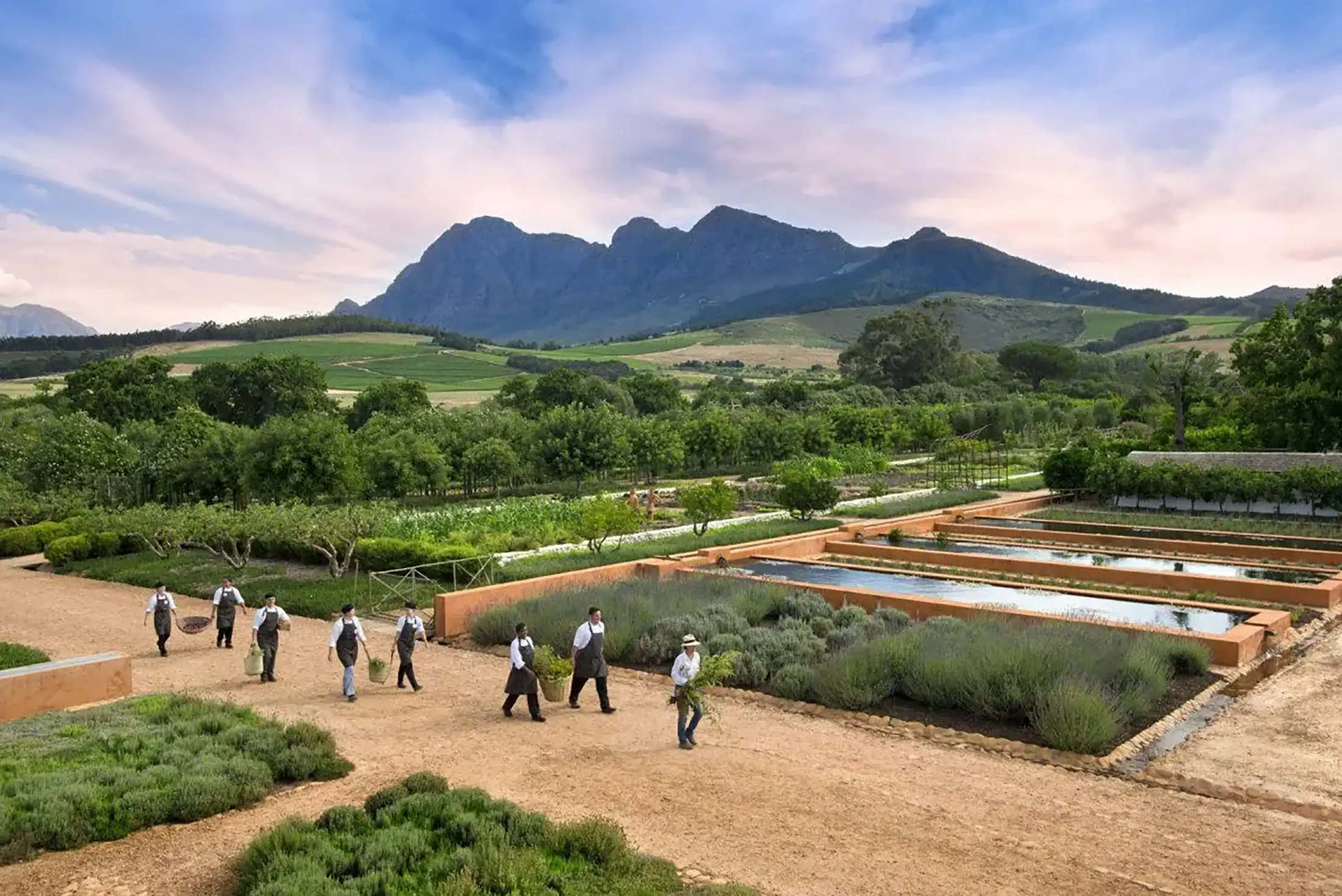 Farm workers at Aerial mountain view of Babylonstoren in South Africa