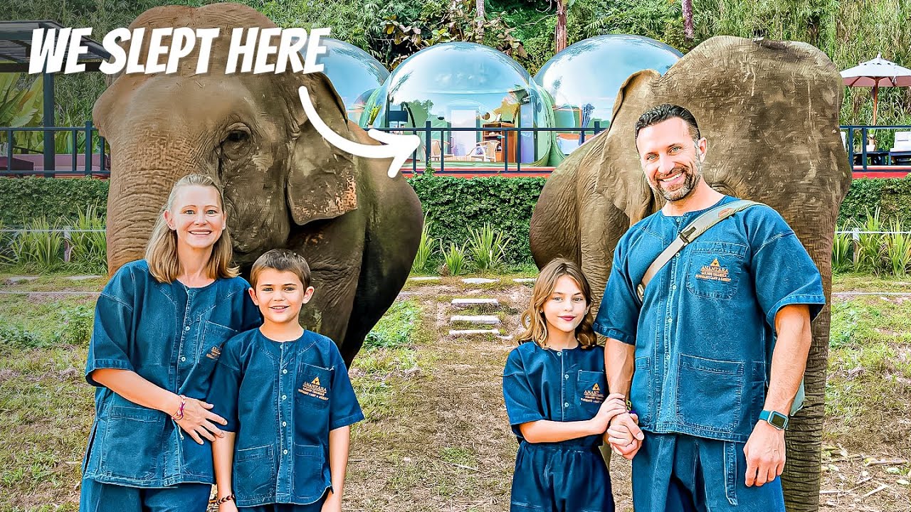 The Lockwood family stands with rescue elephants in Thailand