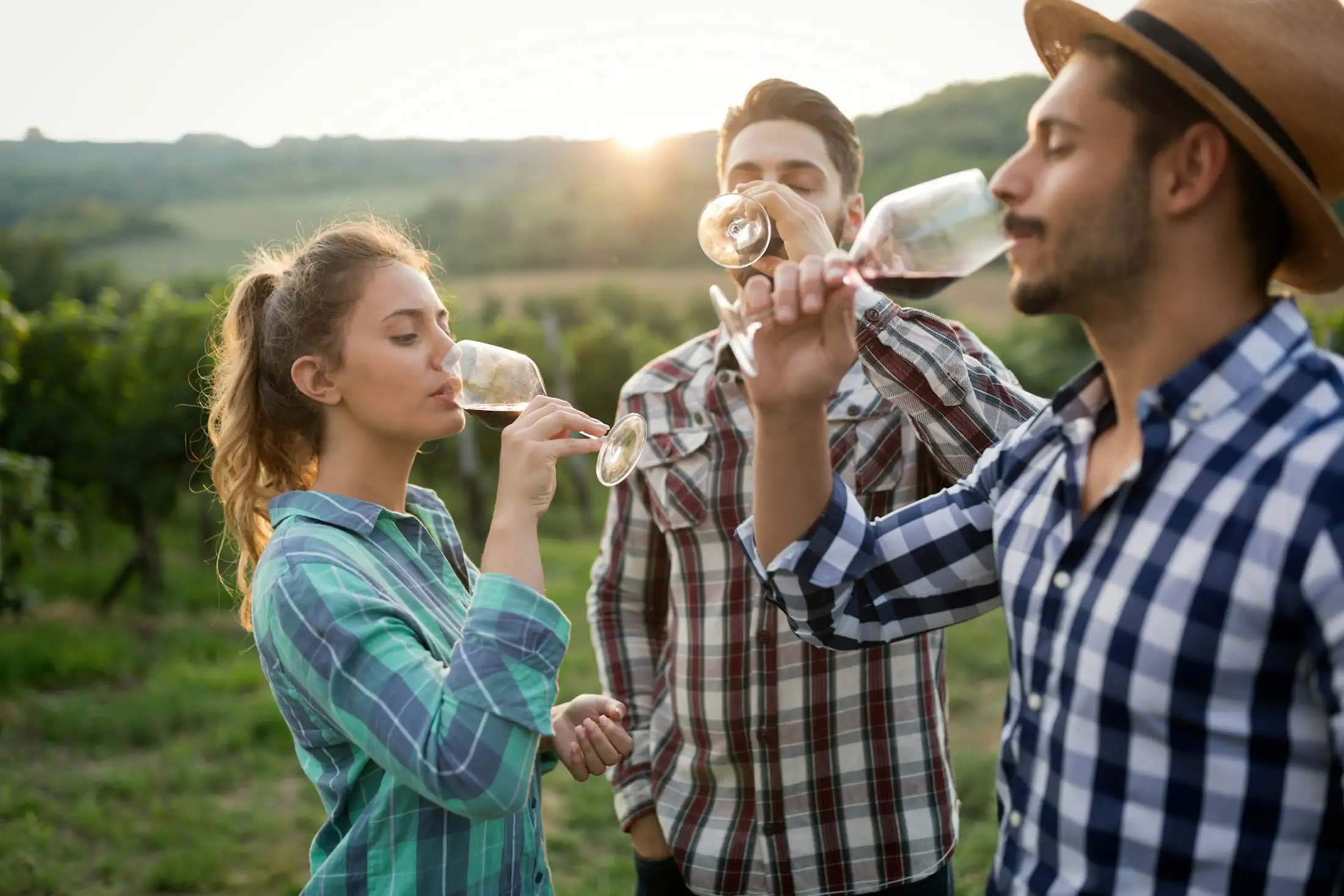 Friends sip wine from glasses in the middle of a vinyard