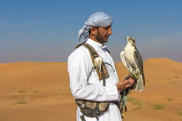 Falconry display UAE desert