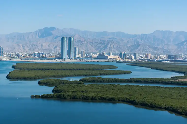 Ras Al Khaimah mangroves aerial