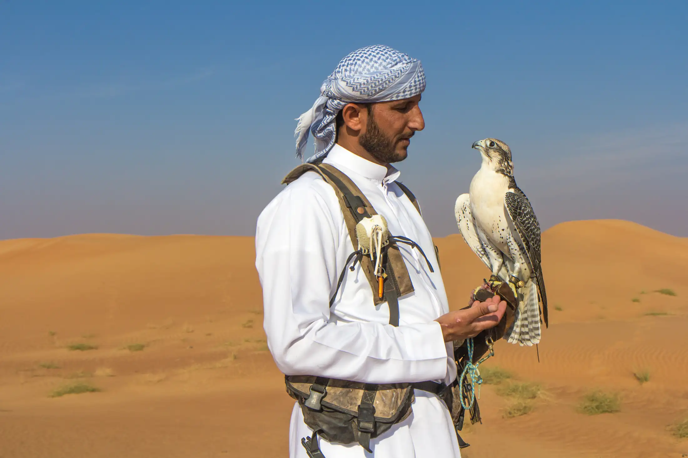 A falconer in the UAE holds a falcon