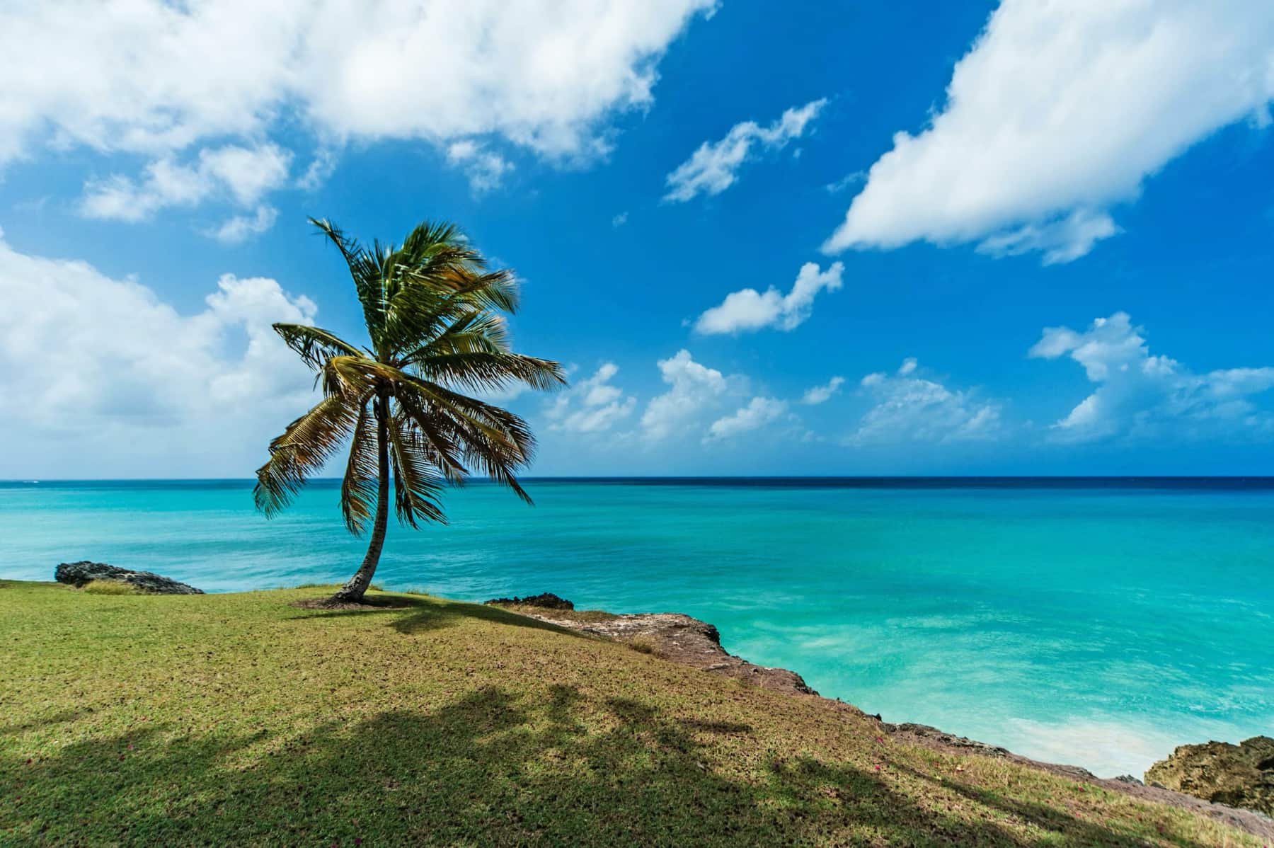 A beach in Barbados
