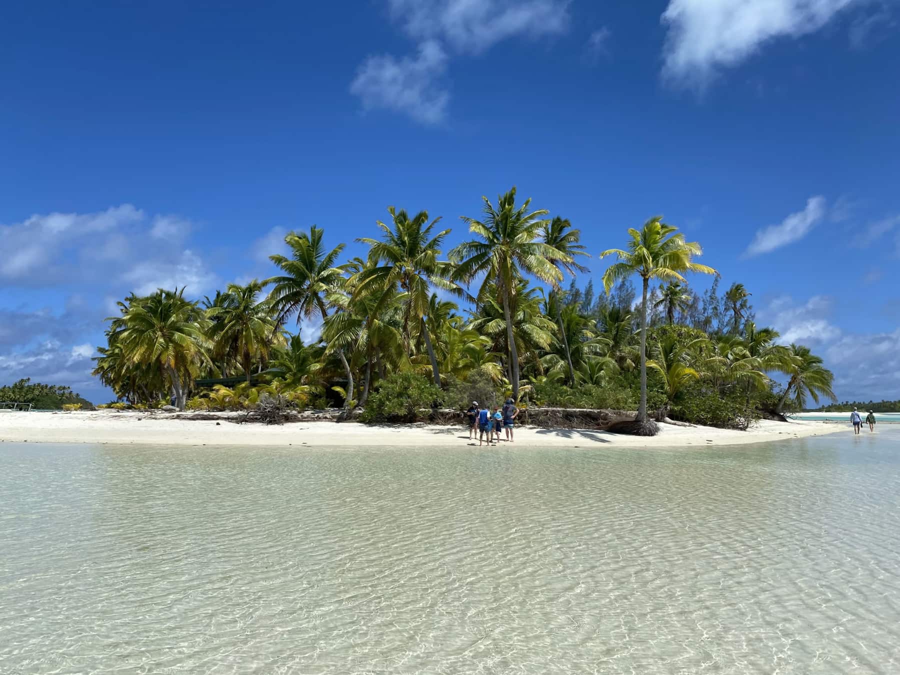 A beach and trees in Cook Islands