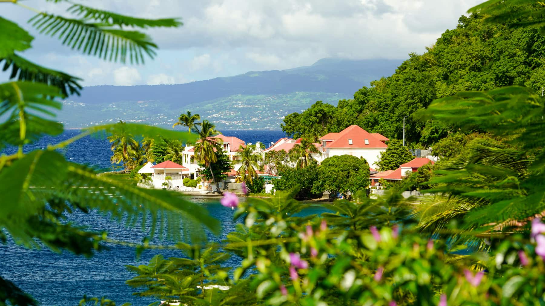 Coastal homes in Guadeloupe