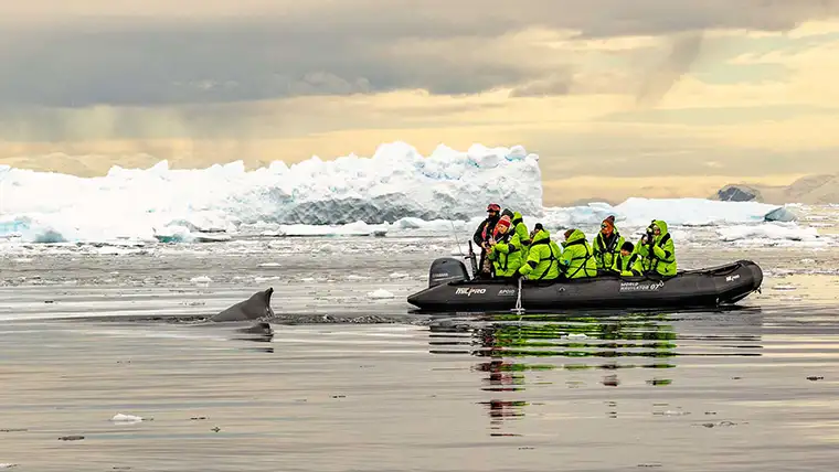 A whale's dorsal fin above water next to a zodiac in Antarctica
