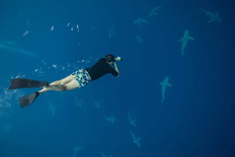 Phil Lockwood free dives to sharks circling in deep blue water