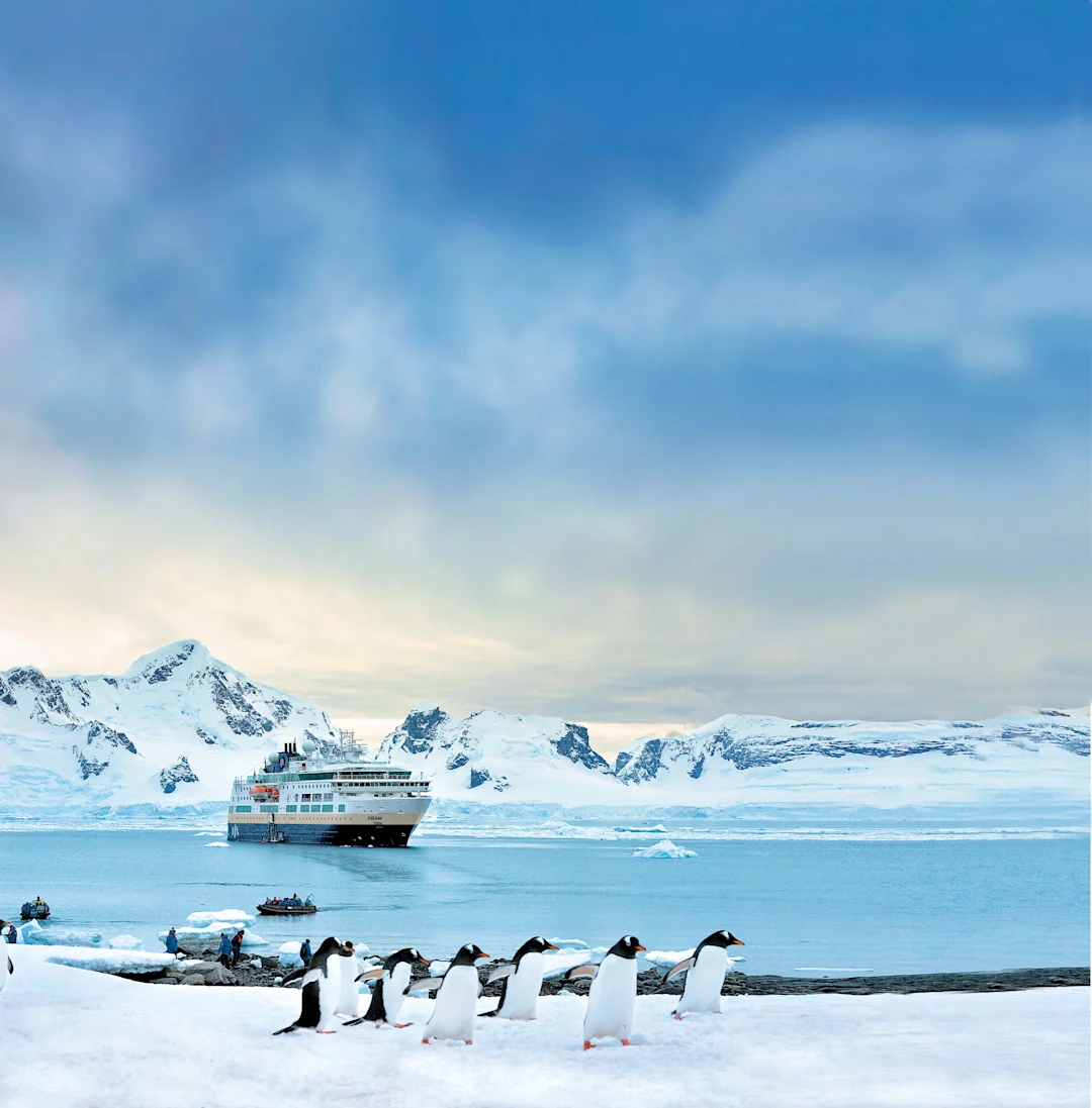Penguins walk along a snowy Antarctic coast with the HX MS Fram in the distance