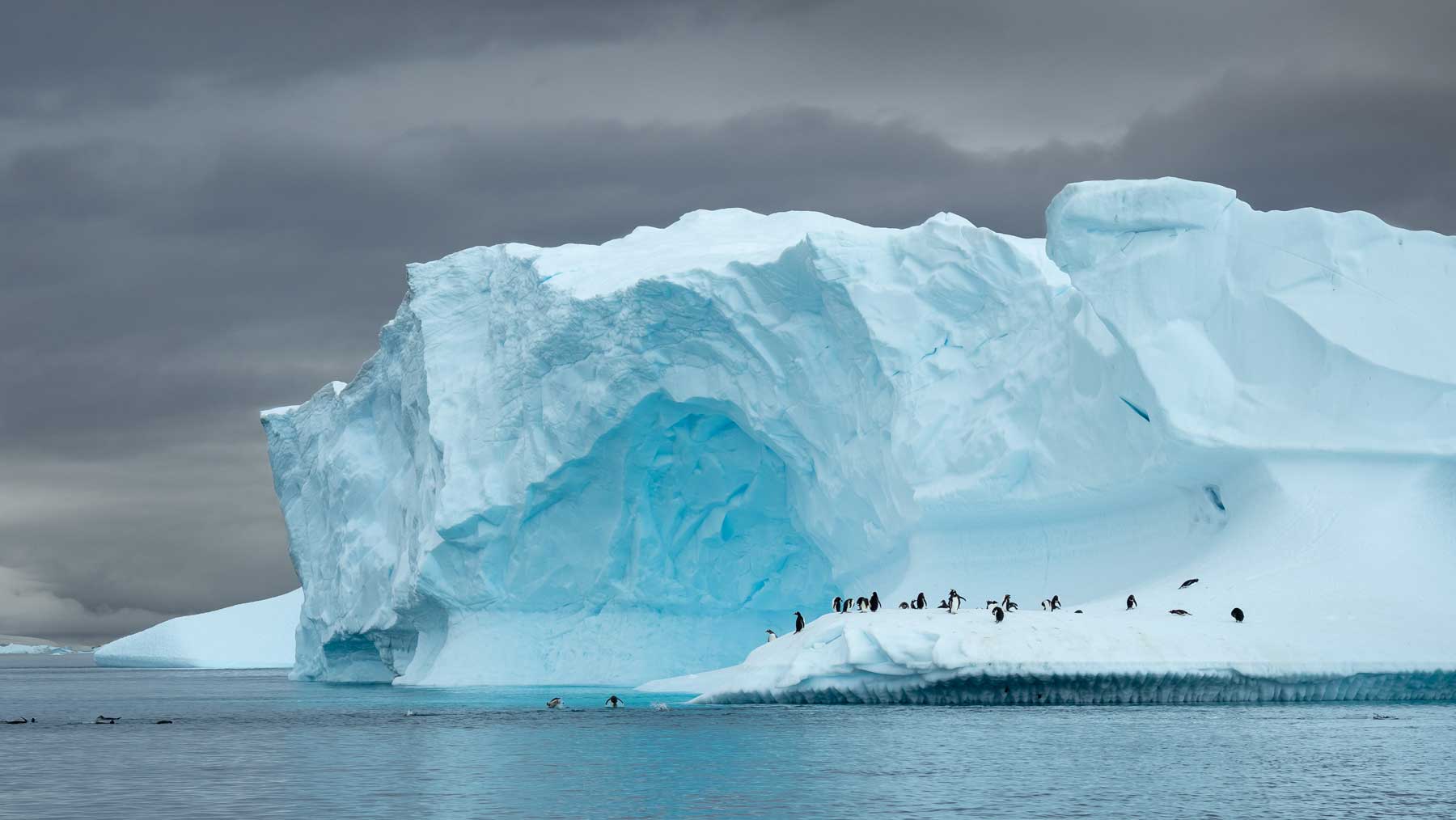 A far-off iceberg in Antarctica with small penguins on it