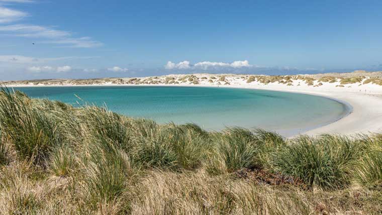 A beach in Gypsy Cove, Stanley, Falkland Islands