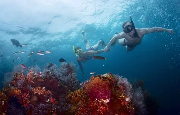 Drift snorkeling through the clear lagoons of French Polynesia