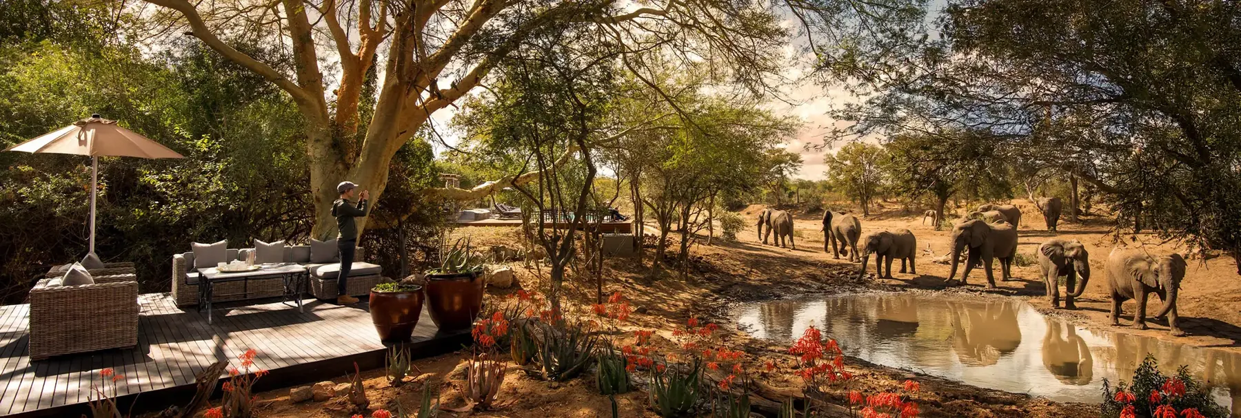 &Beyond Ngala Safari Lodge pation with elephants gathererd