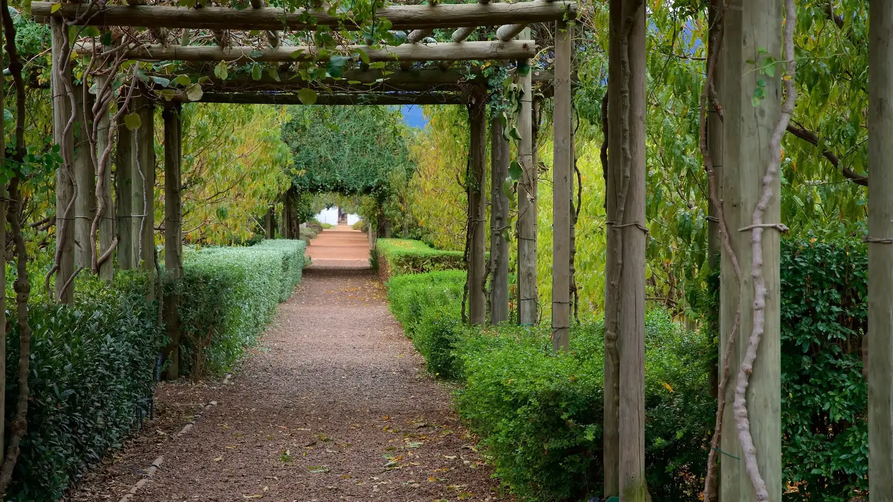 Garden walkway at Aerial mountain view of Babylonstoren in South Africa
