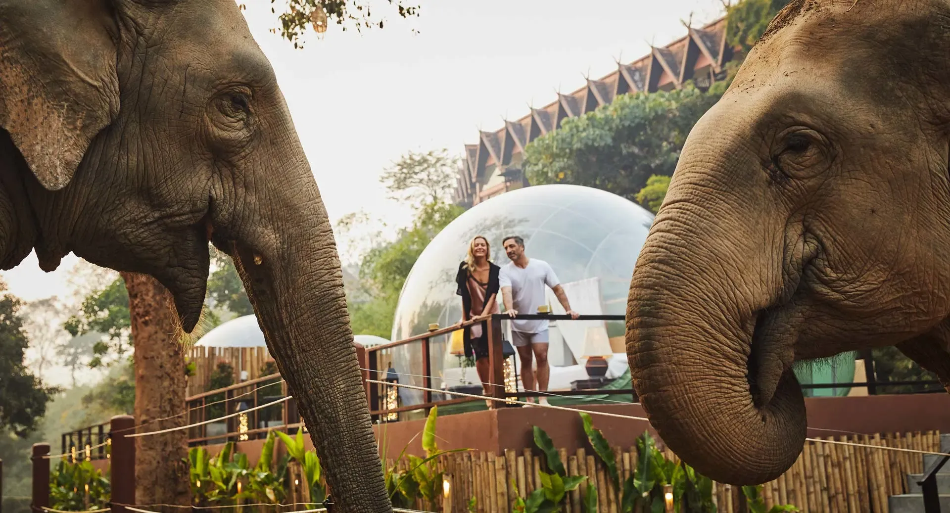 Anantara's Golden Triangle jungle bubbles with elephants