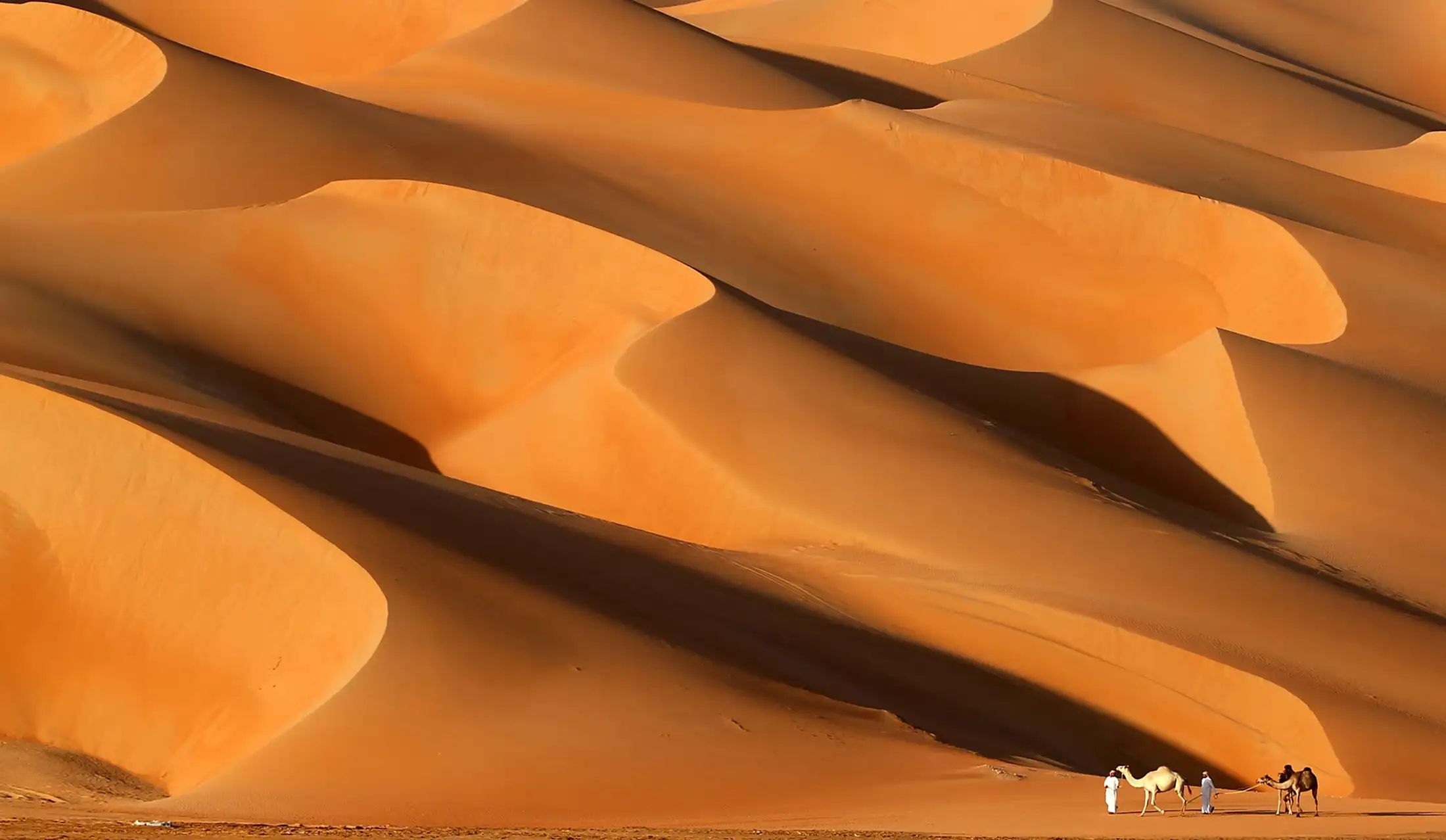 Moreeb Dune aerial in the Liwa desert