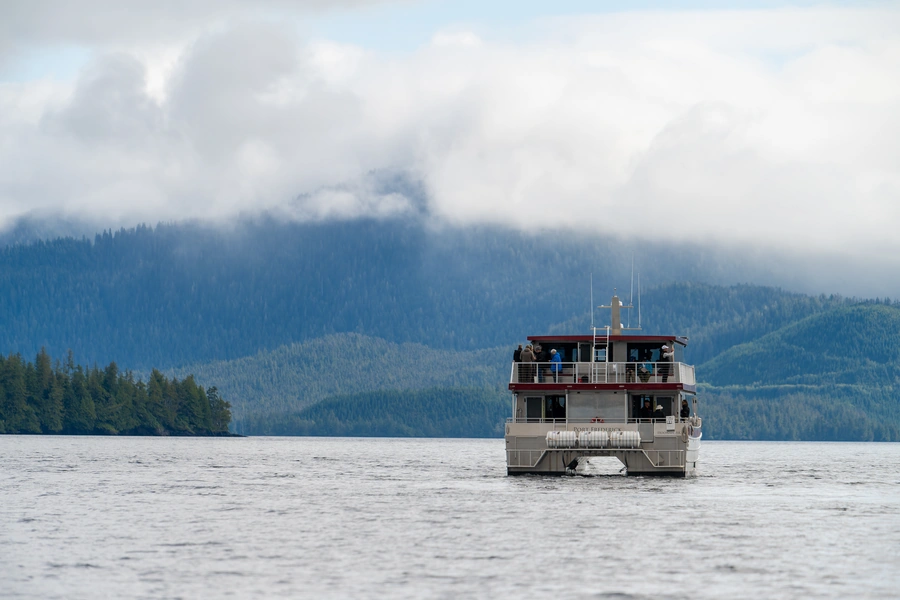 Whale watching excursion near Klawock, Alaska