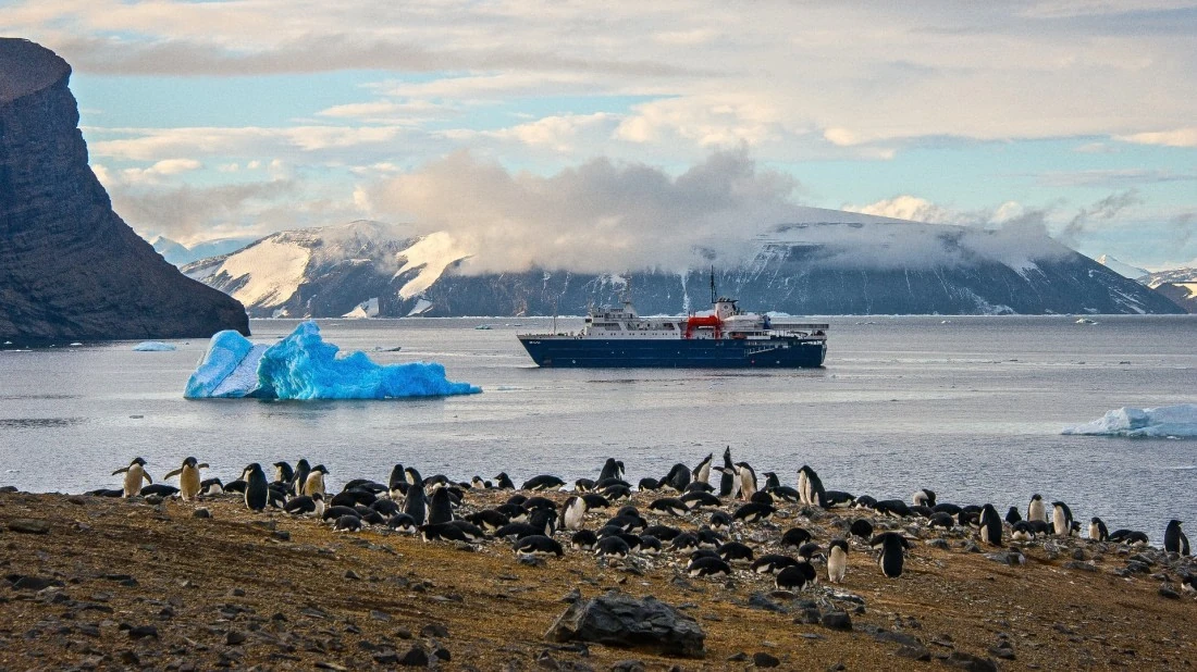MV Ortelius near an Antarctic penguin colony