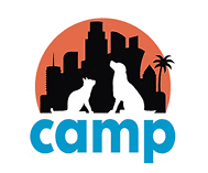 CAMP