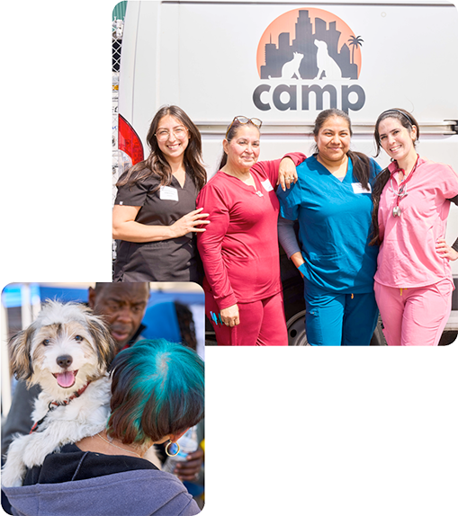 CAMP Clinics
