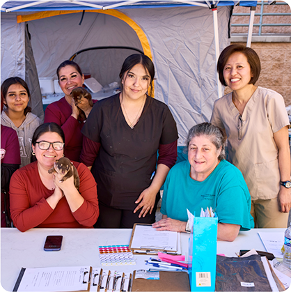 CAMP Clinics