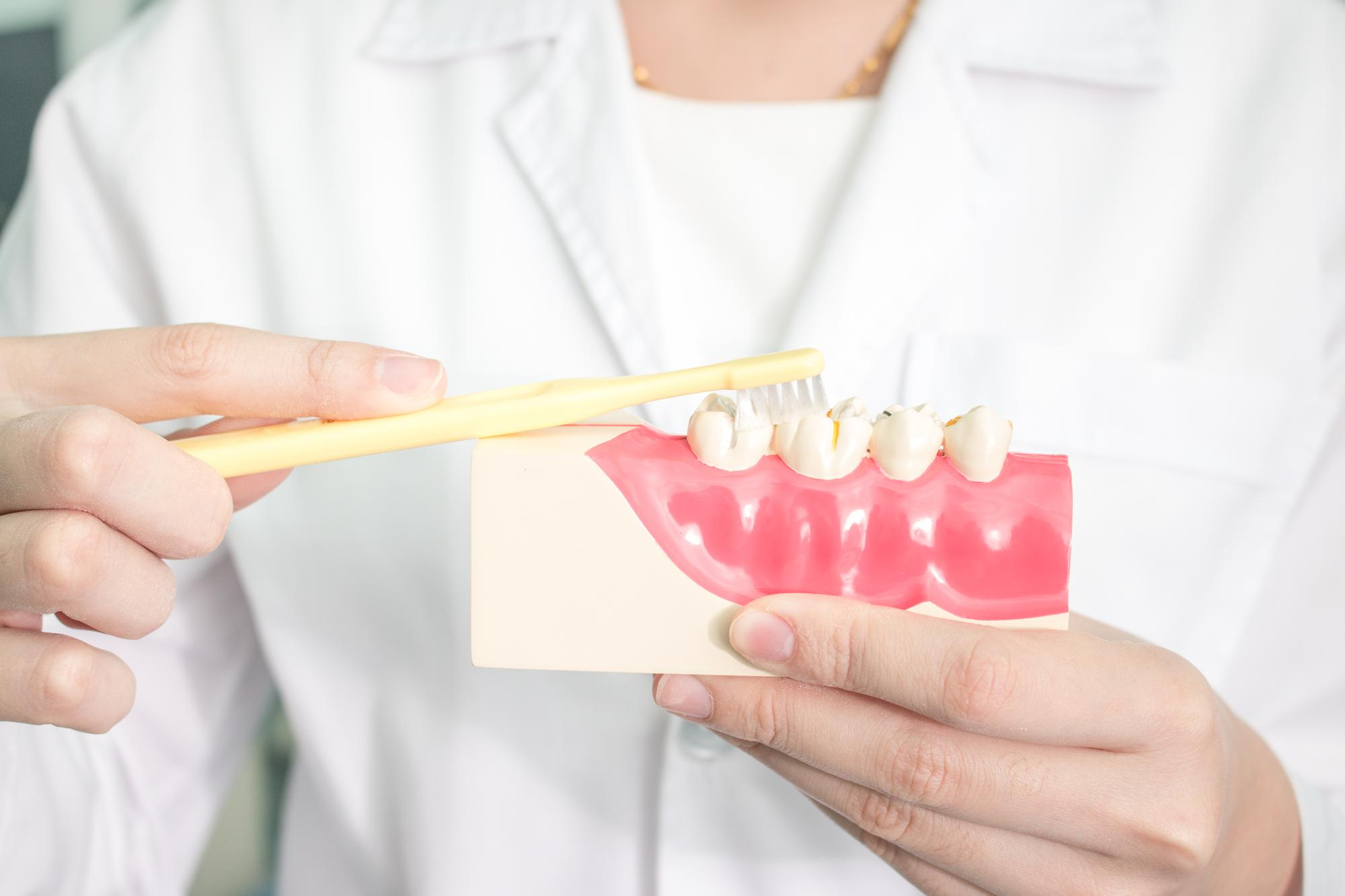 Tooth Extraction 101: What to Expect Before, During, and After Your Procedure