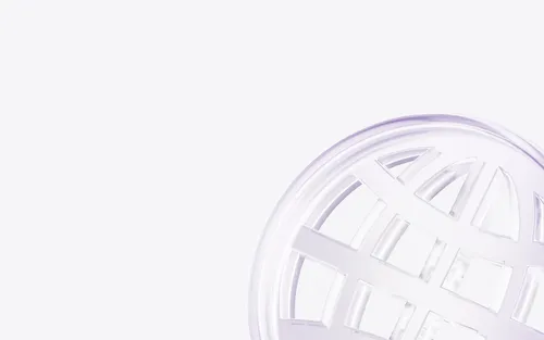 Stylized globe icon representing global reach and expertise