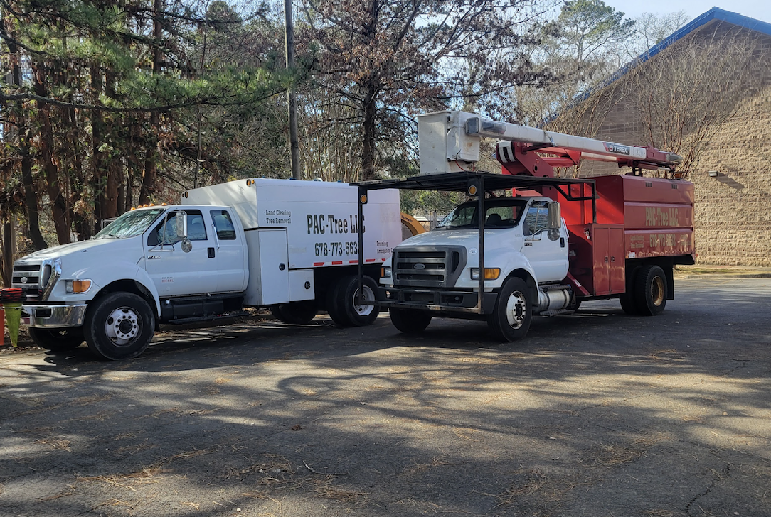 Service Image