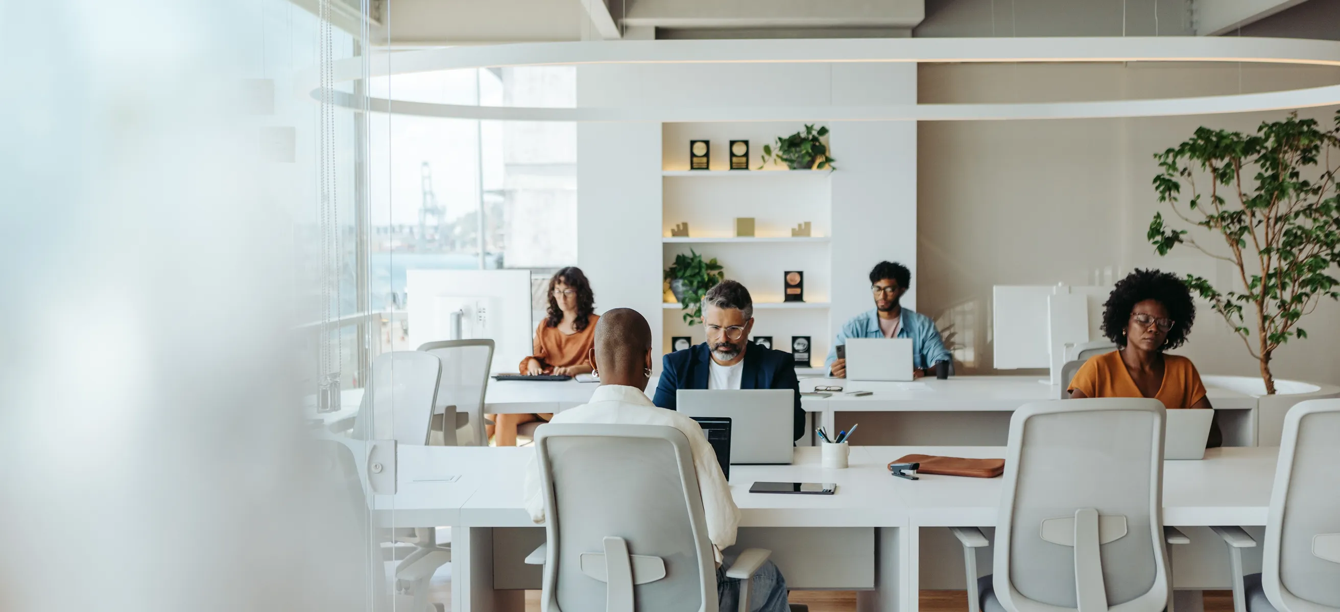 Diverse group of people working on laptops in a modern, bright office with large windows and plants.