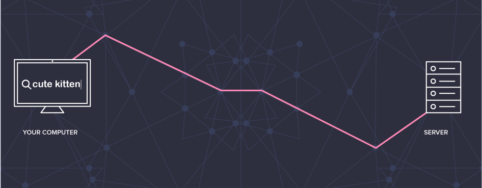 How does the internet work rex software real estate crm