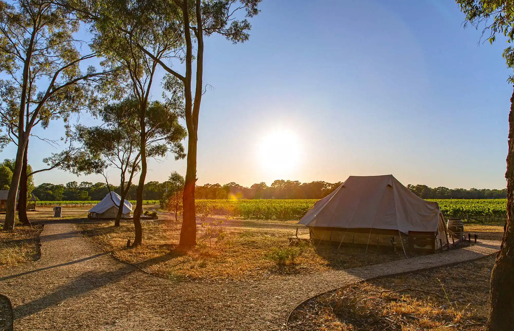 Two canvas tents set up in a rural campsite during sunset with trees and green fields in the background.