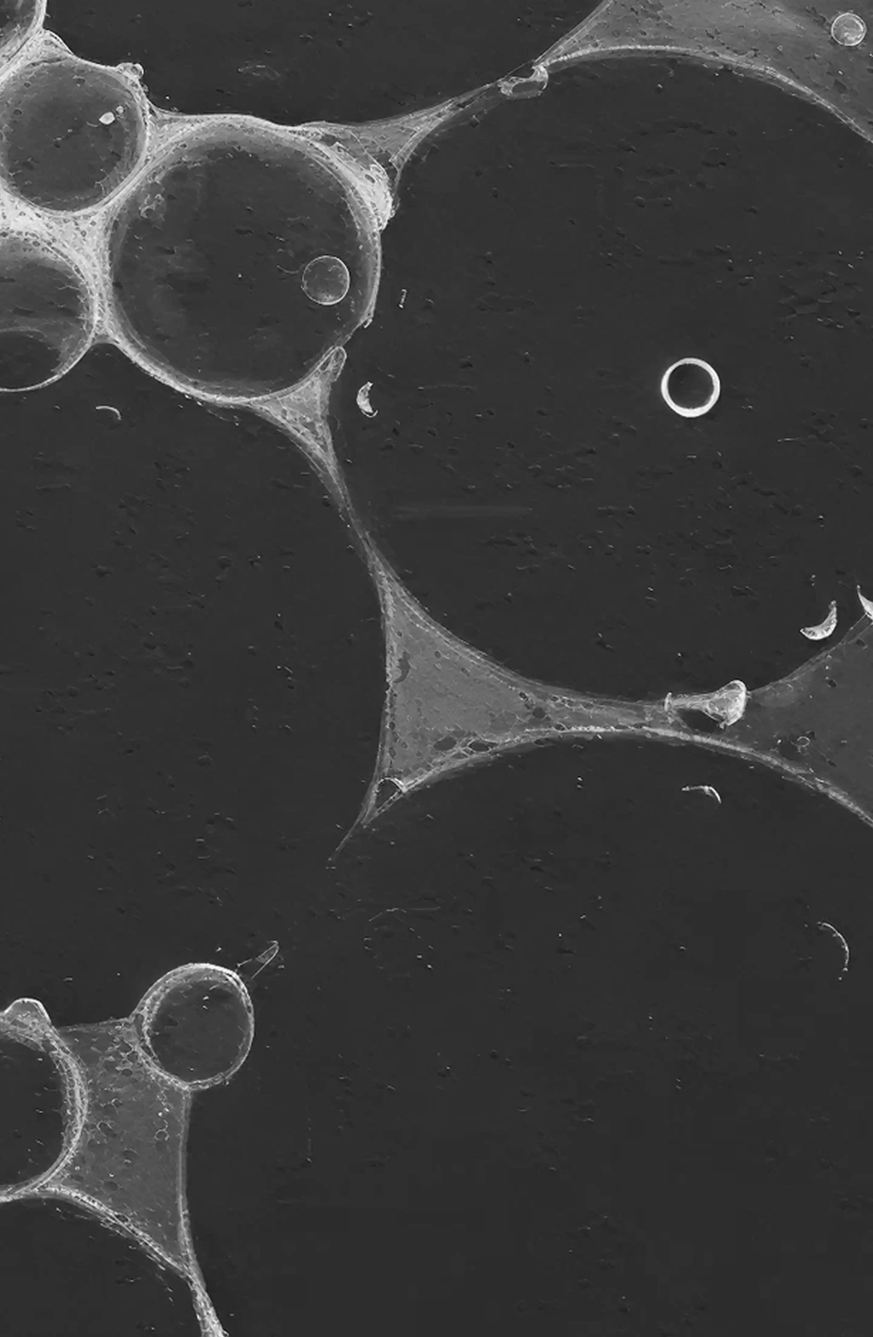 Close-up of translucent soap bubbles on a dark surface, showing thin films and overlapping circular shapes.