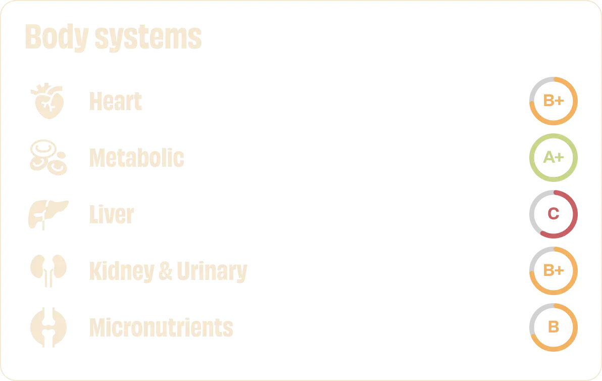 Chart listing body systems with icons and letter grades: Heart B+, Metabolic A+, Liver C, Kidney & Urinary B+, Micronutrients B.