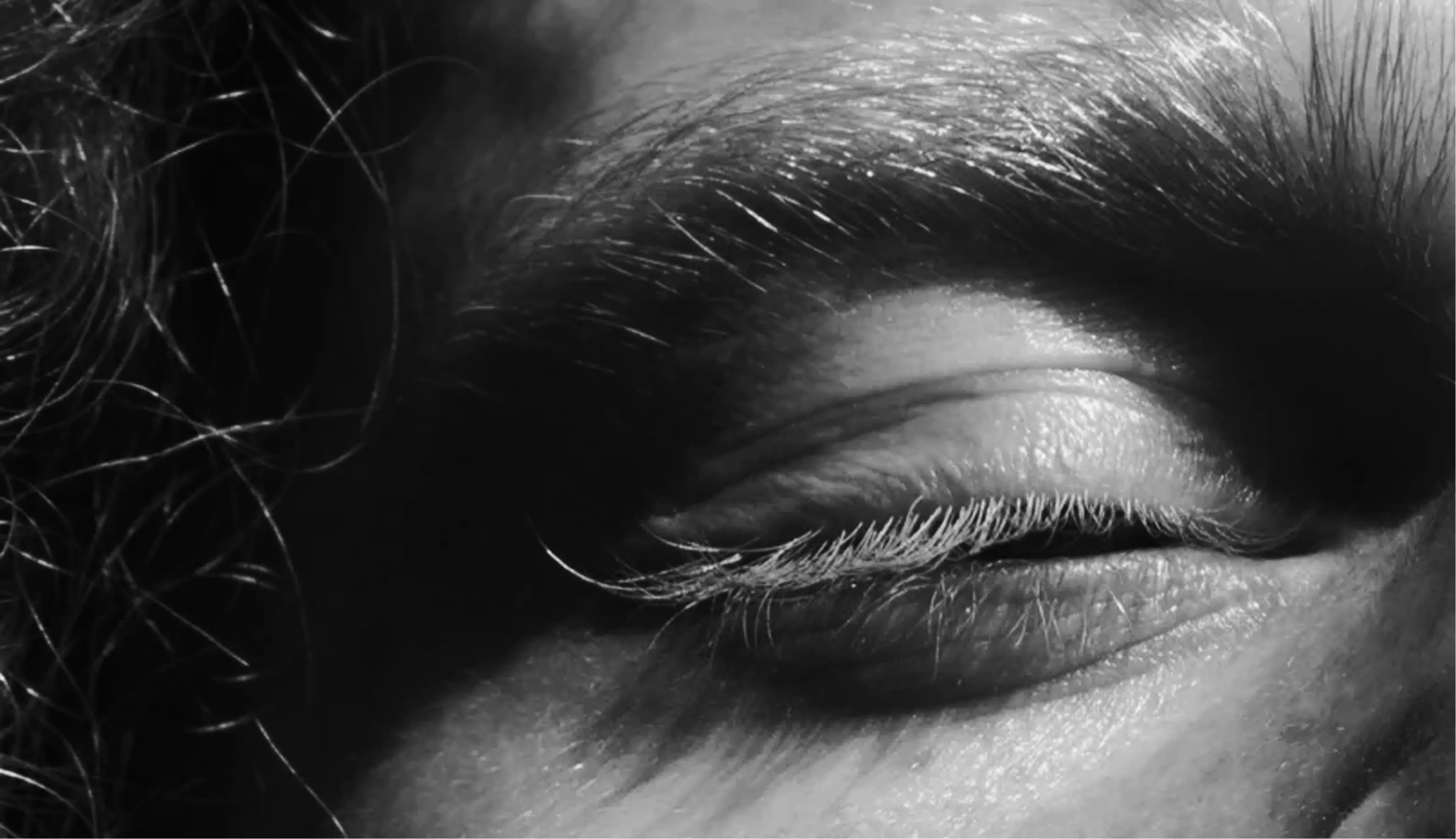 Close-up black and white photograph of a closed human eye with visible eyelashes and brow hairs.
