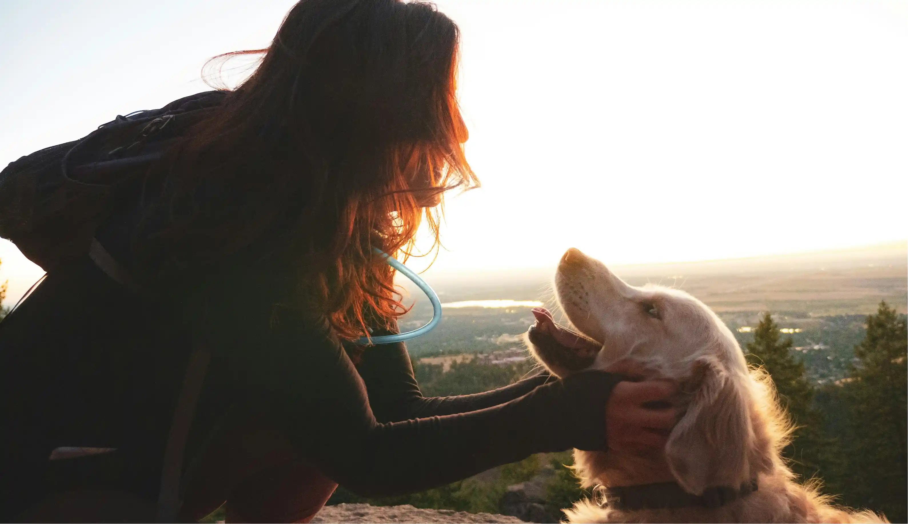 Person with long hair crouching and petting a happy golden retriever with a scenic landscape in the background at sunset.