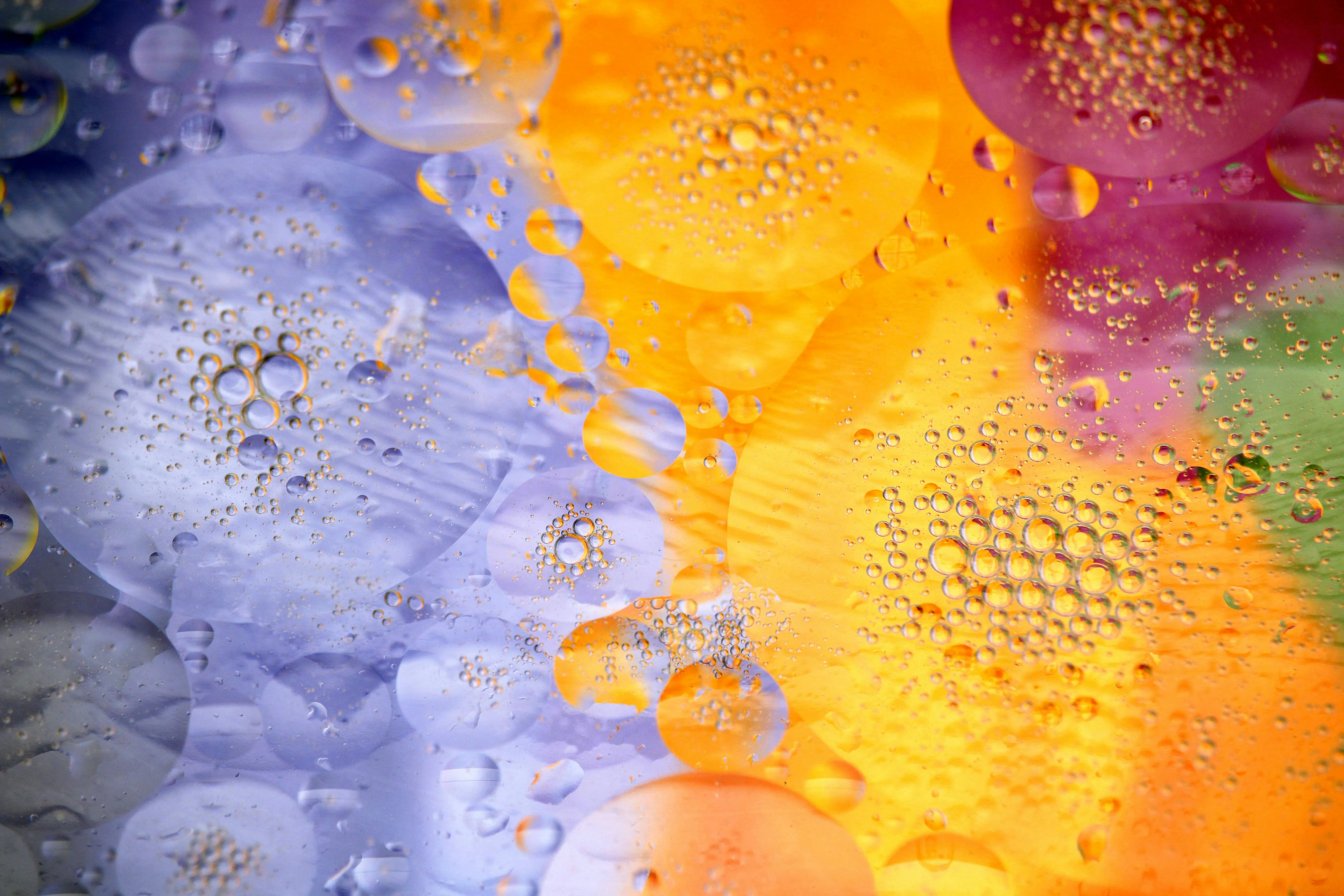 NiaHealth vs Function Health: A Complete 2025 Comparison Guide