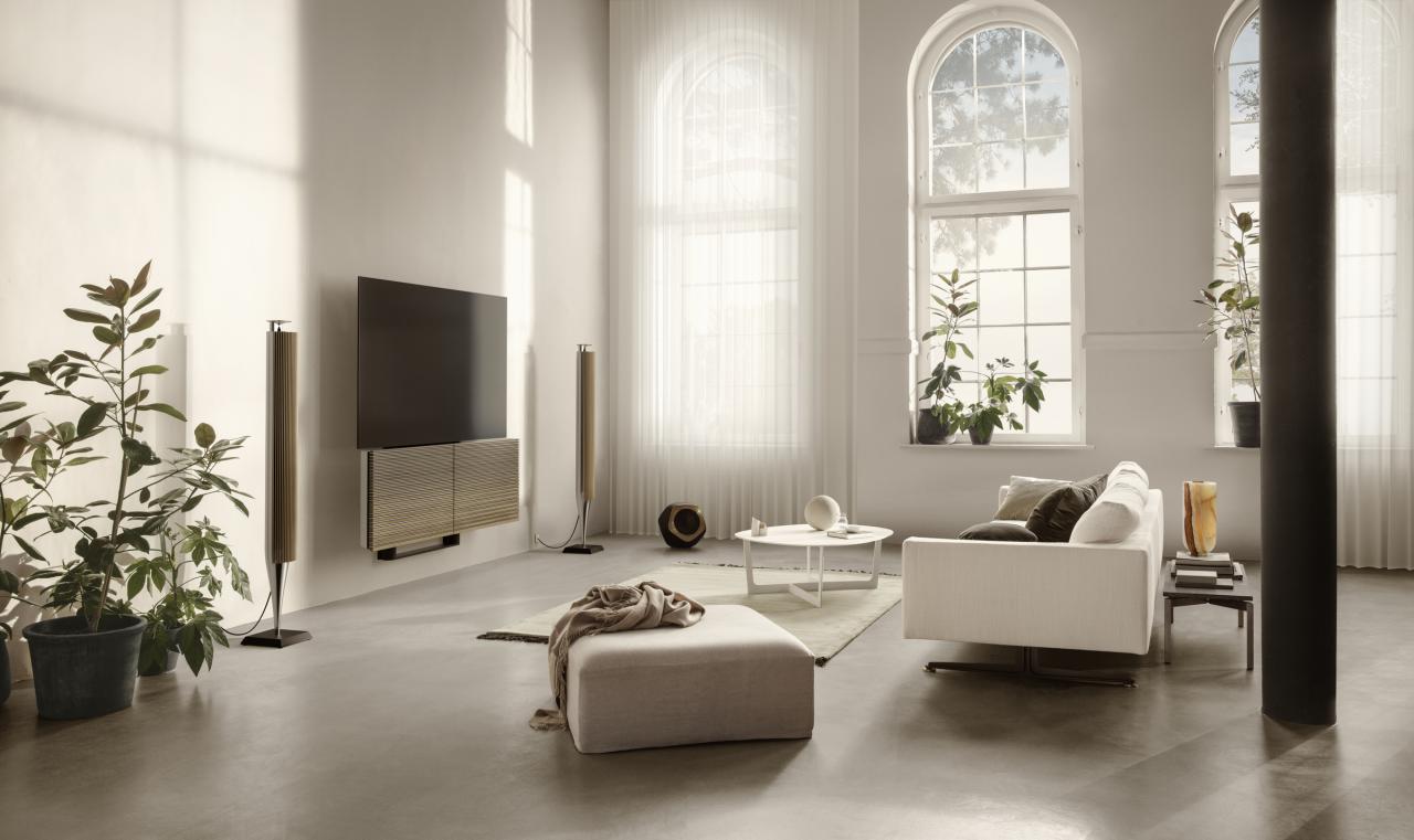 Home Cinema mit Beolab 18