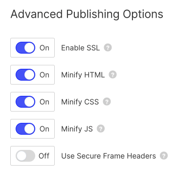 Bild der Webflow Advanced Publishing Einstellungen