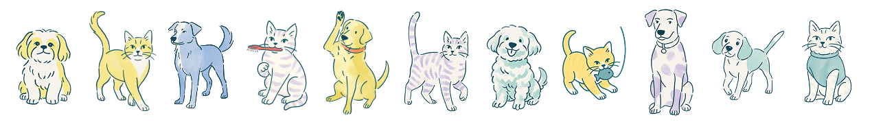 animals