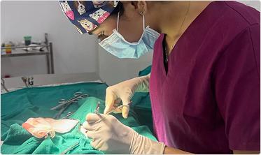 Surgery