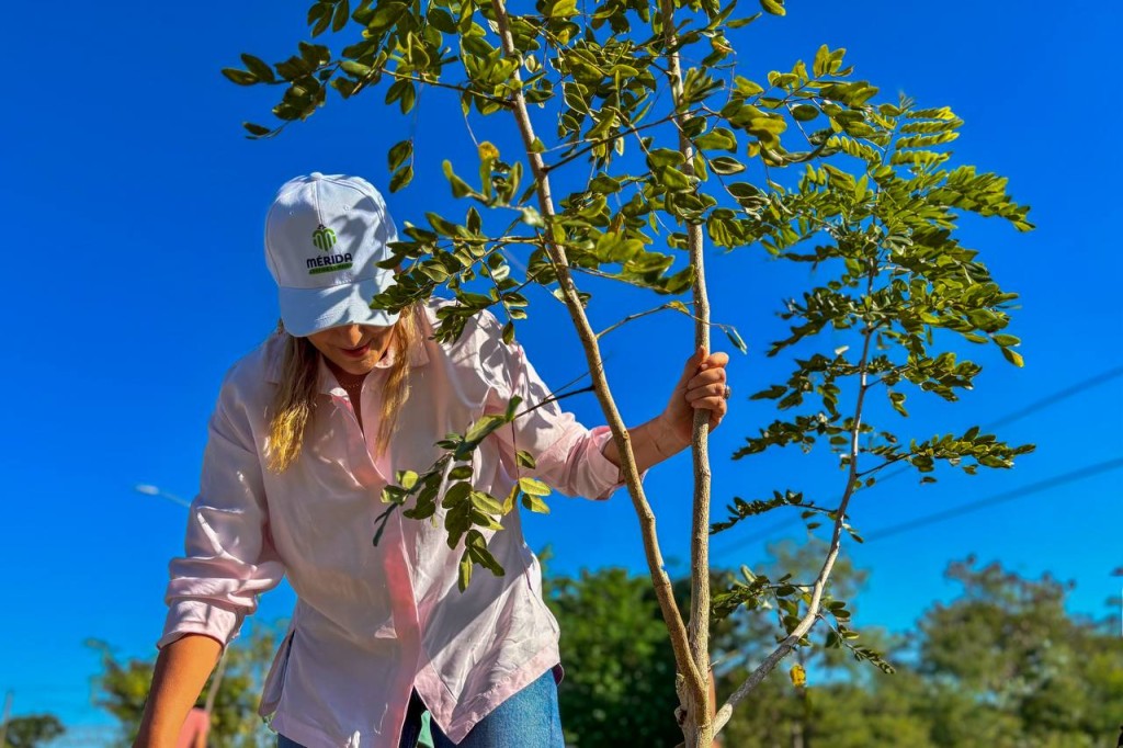 Crearán un biocorredor en el poniente de Mérida