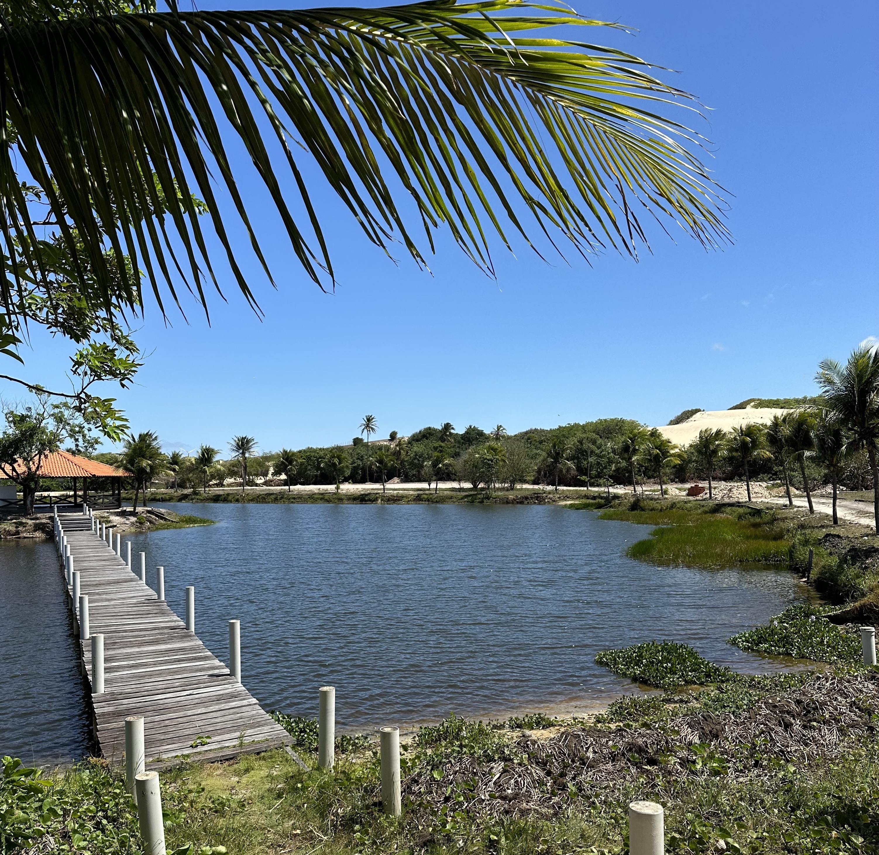 Real photo of lake inside the condominium. Dunes backdrop, bridge to the mini lake island.