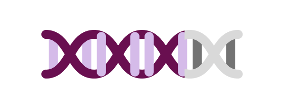 Stylized DNA double helix graphic with alternating dark purple and light lavender segments.
